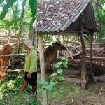 Bhabinkamtibmas Desa Seraya Sosialisasi Pencegahan PMK