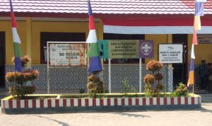 SDN 2 Sumur Lampung selatan Masih Membutuhkan Sarana Ruang Kelas Belajar