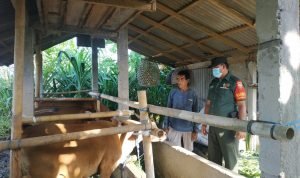 Babinsa Kodim 1616/Gianyar Rutin Kunjungi Warga