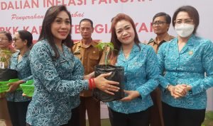 Ketua TP. PKK Gianyar Bersama Bank Indonesia Provinsi Bali Distribusikan 3000 Bibit Cabai CSR