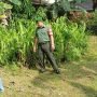 IMG 20221012 WA0010