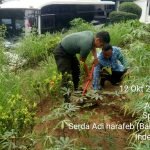 Ciptakan Lingkungan Hijau, Babinsa Serda Adi Harafeb bersama Lurah Pahlawan Tanam Bibit Pohon