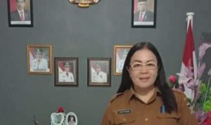 Kainde Sebut Ini Gambaran Singkat Smart City Minahasa