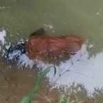 Warga Todanan Hebohkan Penemuan Mayat di Sungai Desa Ngumbul