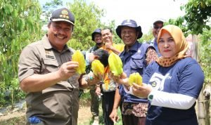 Kunker ke Blora, Ini Pesan Dirjen Holtikultura RI Terkait Pengembangan Tanaman Buah