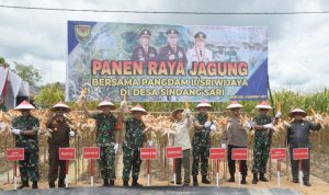 Pangdam II/Swj bersama Forkopimda OKI Panen Raya Jagung di Desa Sindangsari