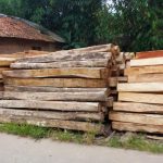 Industri Kayu Diduga Ilegal Masih Beroperasi, SatpolPP Kemana?