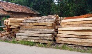 Industri Kayu Diduga Ilegal Masih Beroperasi, SatpolPP Kemana?