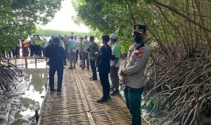 Kapolsek Densel Pimpin Langsung Pengamanan Penanaman Pohon Mangrove di Kawasan Tahura Ngurah Rai