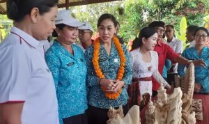 Tingkatkan Ketahanan Pangan, Ketua TP. PKK Gianyar Resmikan Puspa Aman Desa Buruan