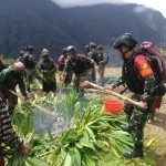 Warga Sambut Tradisi Bakar Batu, Prajurit Satgas Yonif R 712/Wiratama