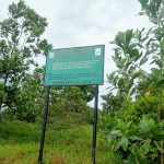 Aktivitas Alat Berat Jenis Excavator di Parit 40 Matras Dekat Kawasan Hutan Negara Patut Dipertanyakan?