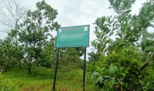 Aktivitas Alat Berat Jenis Excavator di Parit 40 Matras Dekat Kawasan Hutan Negara Patut Dipertanyakan?