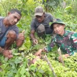 Sukseskan Ketahanan Pangan, Satgas Yonif 143/TWEJ Buka Lahan Kosong di Perbatasan Papua