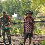 Komsos Dengan Warga, Babinsa Koramil 1512-02/Patani Bahas Budidaya Ikan Air Tawar