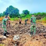 Wujud Kemanunggalan TNI, Satgas Yonif Raider 142/KJ Bantu Warga Olah Lahan Perkebunan