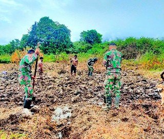Wujud Kemanunggalan TNI, Satgas Yonif Raider 142/KJ Bantu Warga Olah Lahan Perkebunan 1 IMG 20230228