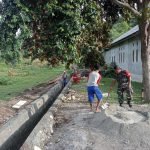 Babinsa Koramil 1512-02/Patani Gotong Royong Bersama Warga Bangun Drainase