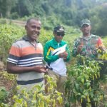 Tingkatkan Sinergitas, Babinsa Koramil 1512-02/Patani Komsos Dengan Pemdes Tepeleo