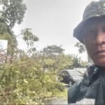 Babinsa, Bersama Warga Dan BPBD Kota Bitung, Bantu Evakuasi Pohon Tumbang