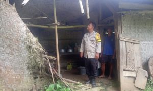 Terlihat Sangat Miris Rumah Mbah Ponco Warga Sidamulya Wanareja Tak Layak, Perlu Perhatian Pemkab Cilacap