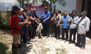 Wujud Nyata Program Ketahanan Pangan Desa, Kades Pejarakan Serahkan 155 Ekor Bibit Ternak