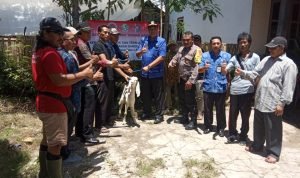 Wujud Nyata Program Ketahanan Pangan Desa, Kades Pejarakan Serahkan 155 Ekor Bibit Ternak