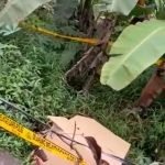 Warga Digegerkan Penemuan Mayat Dalam Koper Merah di Tenjo Kabupaten Bogor