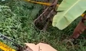 Warga Digegerkan Penemuan Mayat Dalam Koper Merah di Tenjo Kabupaten Bogor