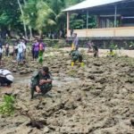 Kodim 1310/Bitung, Tanam Bibit Mangrove Di Pesisir Pantai Desa Kalinaun Likupang Timur