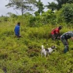 Cegah Malaria, Satgas Yonif 143/TWEJ Bersama Masyarakat Bersihkan Semak Belukar