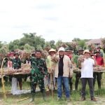 Luar Biasa, Bupati Lampung Tengah Apresiasi Panen Bawang Merah Kodim 0411/KM
