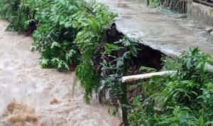 Akibat Hujan Deras Sungai Cikuning Meluap Satu Rumah  Milik Warga Amblas