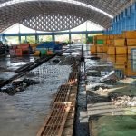 Hasan Basri Siregar Gandeng HNSI Kota Pangkalpinang, Bersihkan Lokasi TPI PPP Muara Batu Rusa