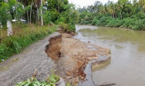 Akibat Abrasi Sungai Jalan Antar Nagari di Korong Pasie Laweh Bisati Amblas, Warga Berharap Perbaikan