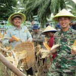 Sukseskan Ketahanan Pangan, Kodim 0405/Lahat Bersama Forkopimda Panen Raya Jagung