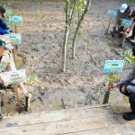 Kasrem 044/Gapo Bersama FKPD Sumsel dan OPD Banyuasin Tanam Mangrove Nasional Serentak