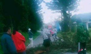 Aksi Penutupan Jalan membudaya di Kabupaten Jayawijaya Provinsi Papua Pegunungan