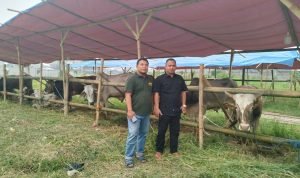 Beli Hewan Kurban Sekaligus Berinfaq Untuk Pembangunan Masjid