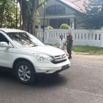 Laksanakan Tugasnya Sebagai Babinsa, Peltu Kurniawan Bantu Lansia Menyebrang Jalan