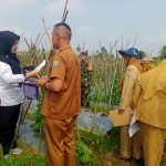 Babinsa Talang Jambe Dampingi Petugas DLHK Palembang Verifikasi Lapangan Proiklim