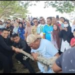 Sambut HUT Kabupaten Ke 20 Bupati Halsel Masuk Sebagai Peserta Tarik Tambang