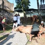 Idul Adha 1444 H, Korem 044/Gapo Kurban 12 Sapi dan 10 Kambing