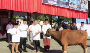 Sambut Hari Bhayangkara ke-77, Polda Sumbar Kurban Ratusan Ekor Sapi