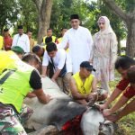Usai Sholat Idul Adha, Kodim 0421/LS Kurban 12 Ekor Kambing