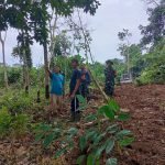 Pembukaan Akses Jalan Pada TMMD Sinergitas TNI dan Pemerintah Tingkatkan Perekonomian Masyarakat