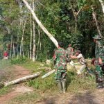 Melalui Komsos, Satgas TMMD Kodim 0412/LU Beri Motivasi dan Semangat ke Pengusaha Penggilingan Kopi