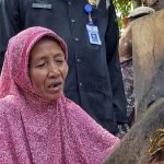 KKN Mahasiswa STAI Al-Anwar, Inisiasi Festival Tembakau Kabupaten Blora