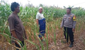 Musim Kemarau, Bhabinkamtibmas Polsek Jawilan Polres Serang Bripka Yoyon Sambang Petani di Desa Binaan, Ini Pesannya
