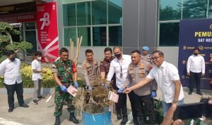 Wakili Dandim, Danramil 13/Cisoka Hadiri Pemusnahan BB Narkoba